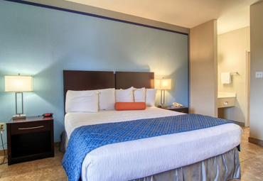 Accessible Queen Handicap Room